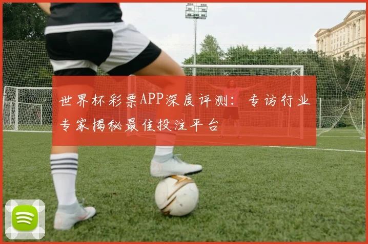 世界杯彩票APP深度评测：专访行业专家揭秘最佳投注平台